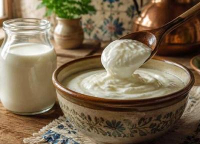 طرز تهیه ماست گاوی با تمام ترفندها طرز تهیه ماست گاوی با تمام ترفندها